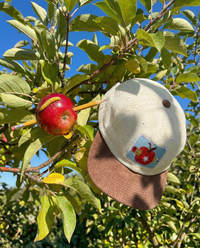 Gorra Manzana Creativa 🍎✏️