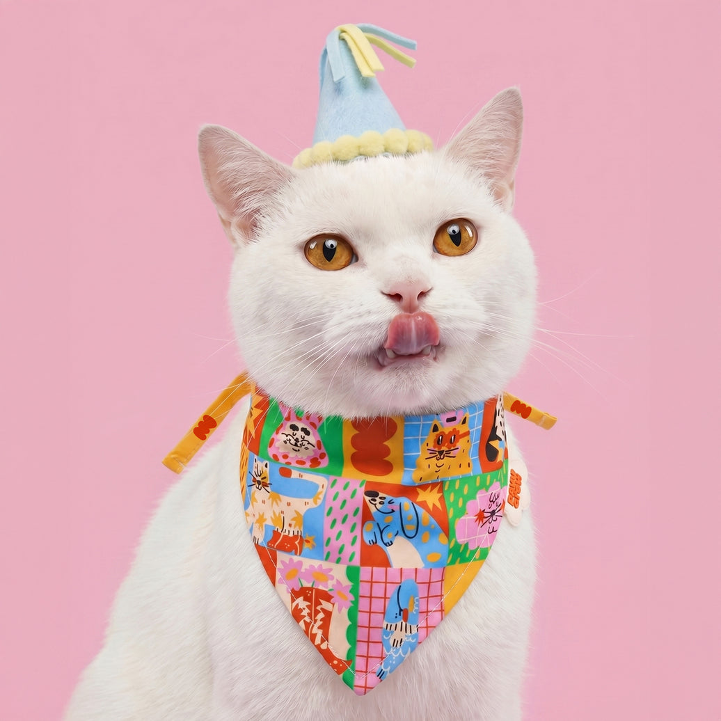 🎈✨ Pañoleta Party