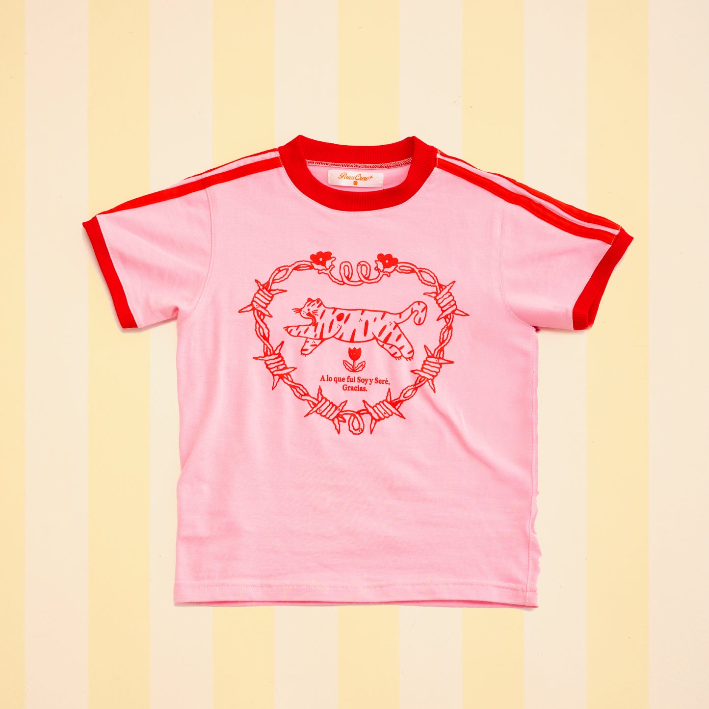 Grateful Soul Baby tee 🌸