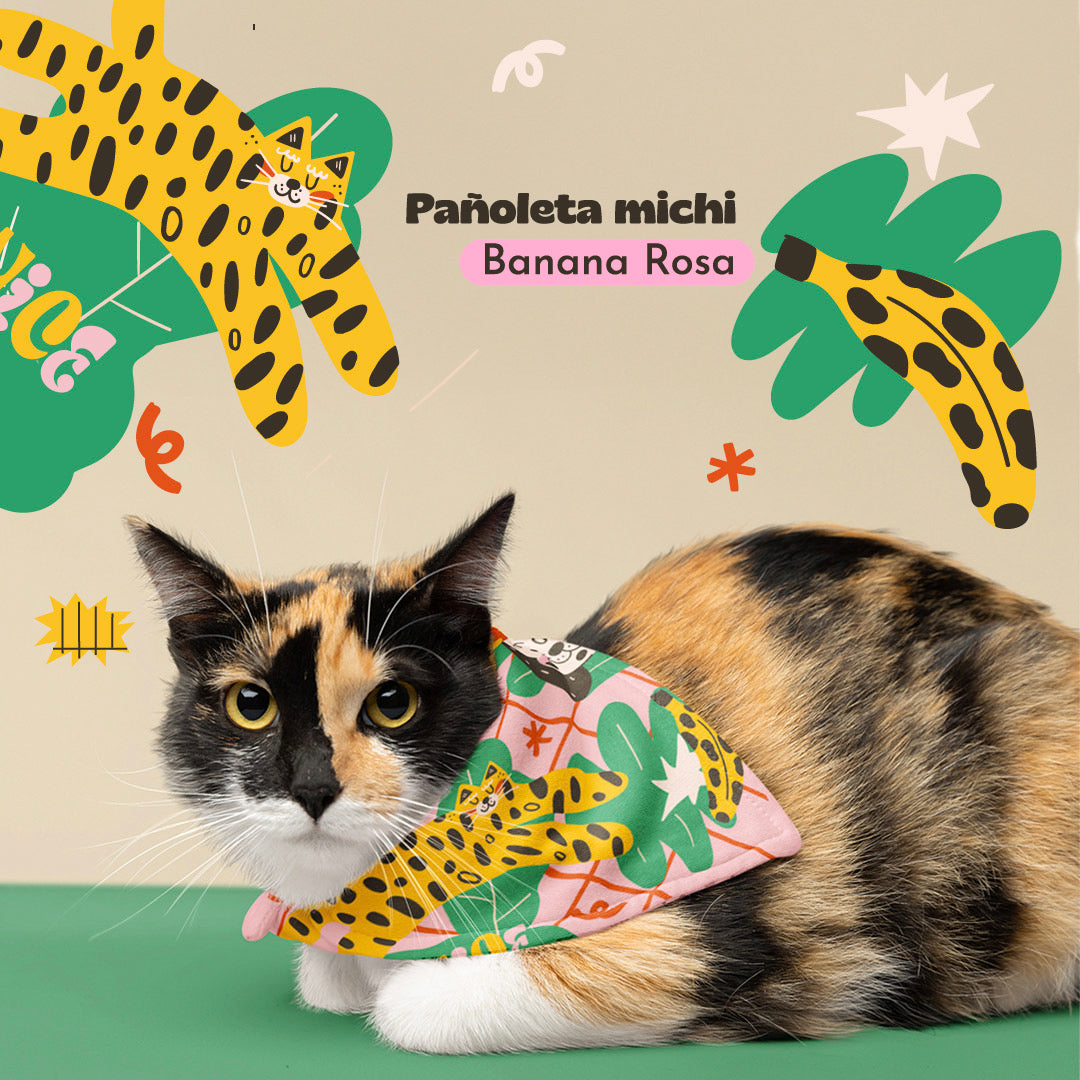 Pañoletas Michi