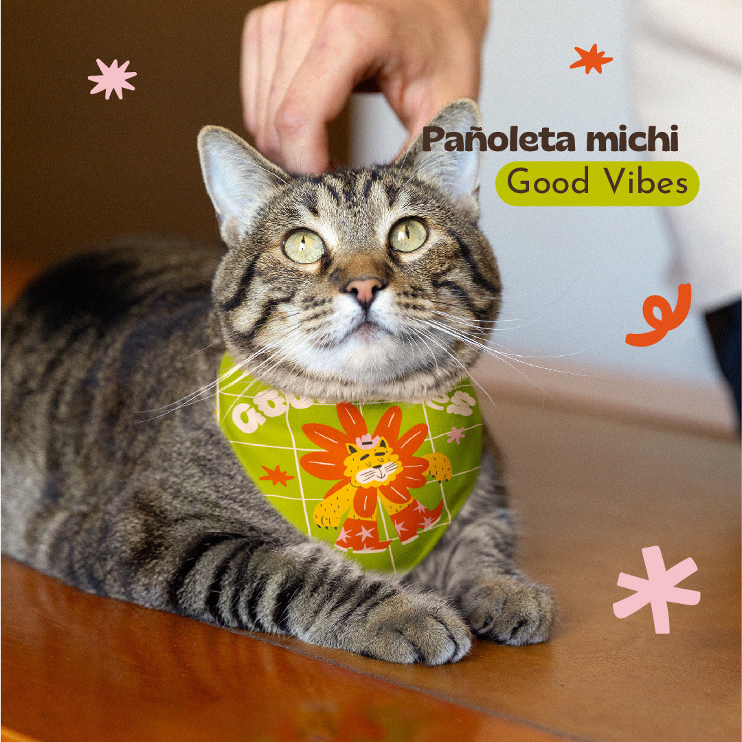 Pañoletas Michi