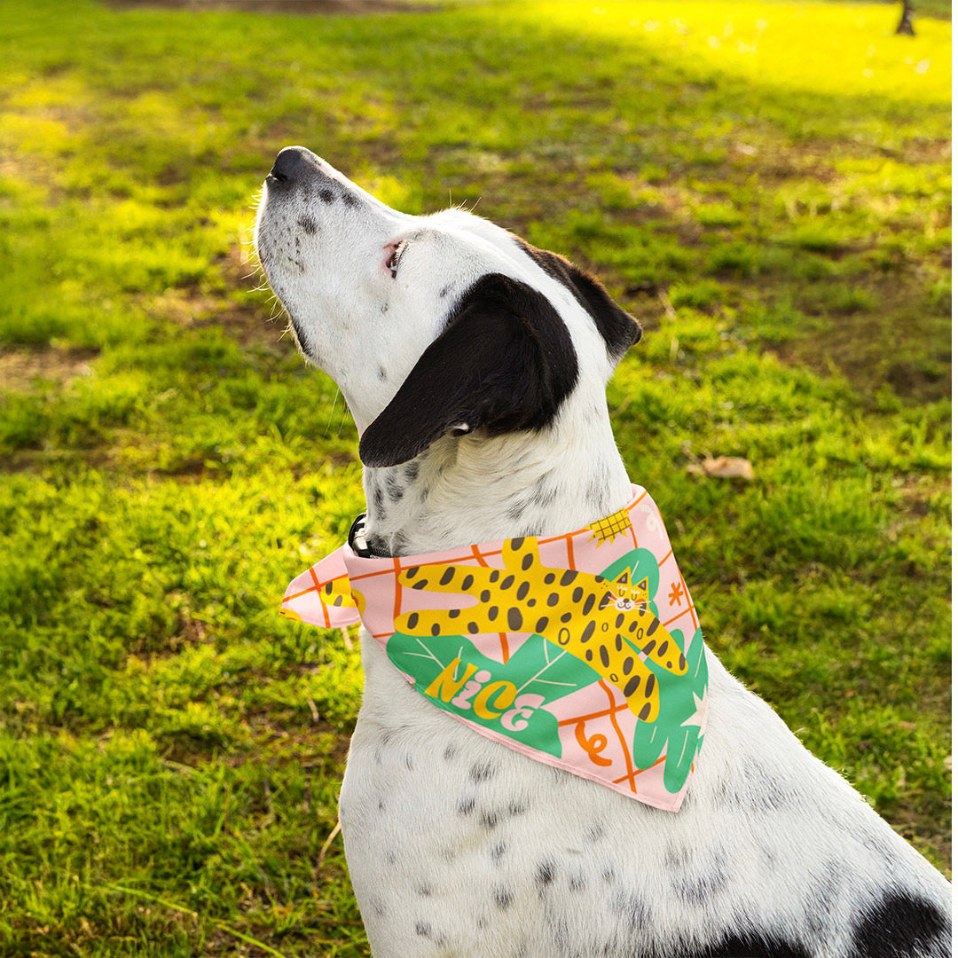 Pañoletas para Perrito