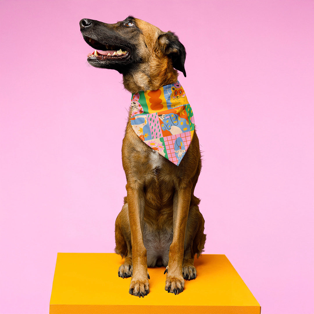 Pañoletas para Perrito